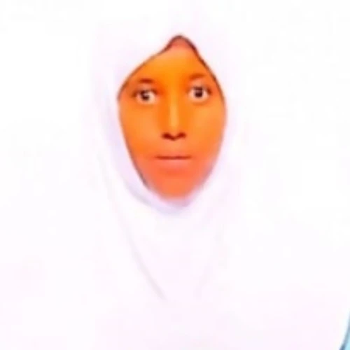 ALEMU FEYISE DEBELA